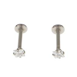 Corpo Tragus Cartilagine