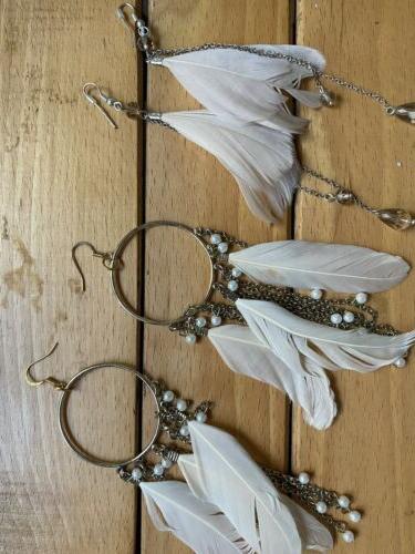 due paia orecchini con piume