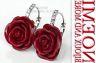 Donna Rosa Argento Cristalli Offerta Or187