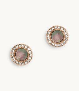 Madreperla Jf02949791