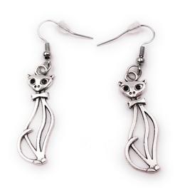 Paio Gatto Lungo Zampa Di Velluto Animale Domestico Gattino 